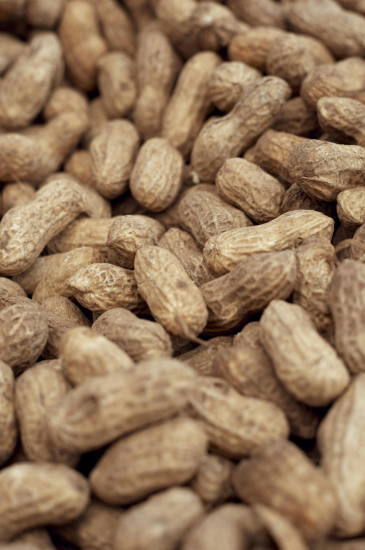 low_allergen_peanut_powder.png Low Allergen Peanut Powder